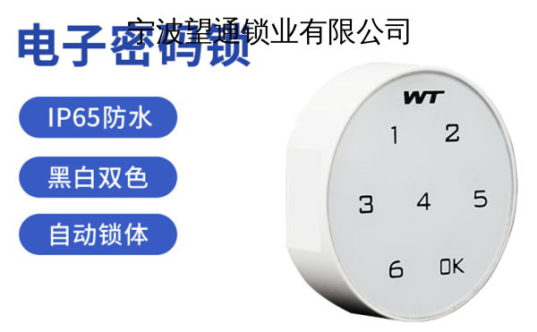 宁波望通锁业有限公司