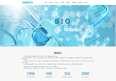 网站设计制作
