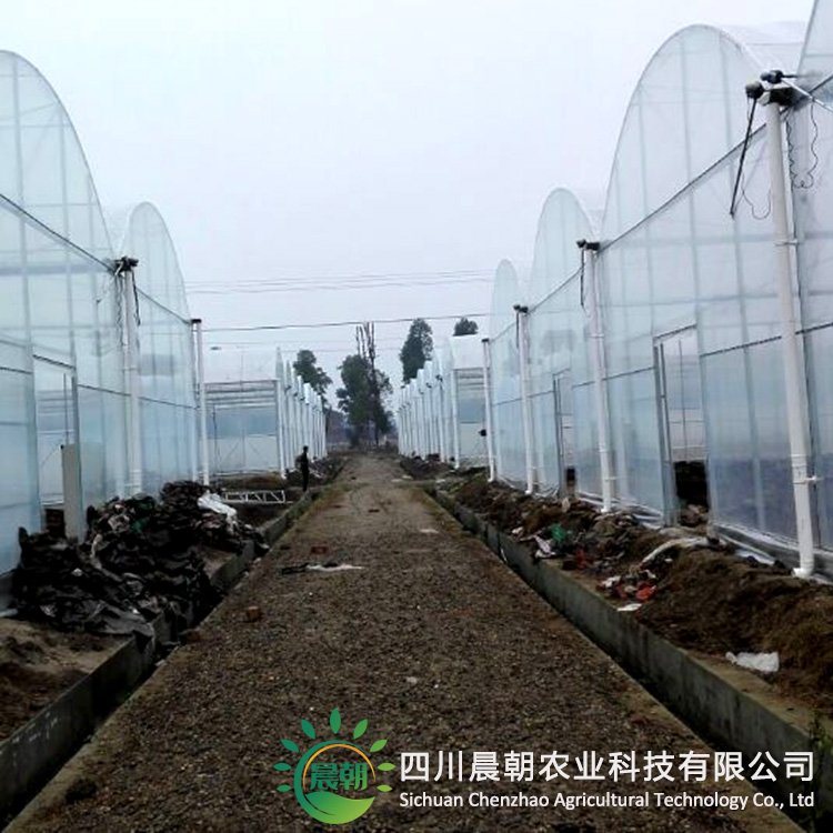 2026年靠谱的养殖温室大棚用户好评厂家推荐-四川晨朝农业科技有限公司